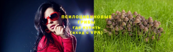 ECSTASY Балабаново